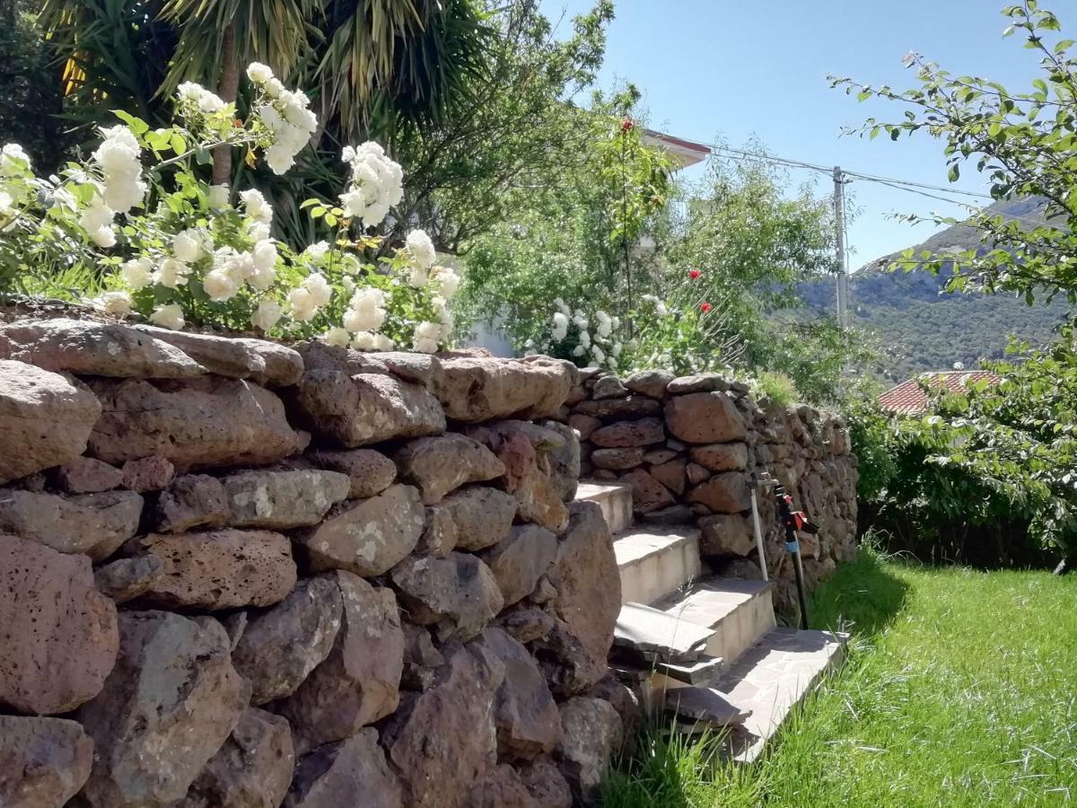 Casa Vacanze Villa Rosetta Dorgali Exterior foto